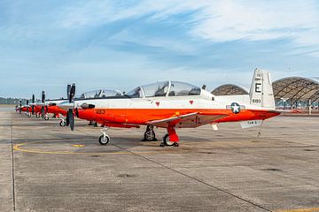 Lined up: Beechcraft T-6 Texan IIs. by Jaap van den Berg