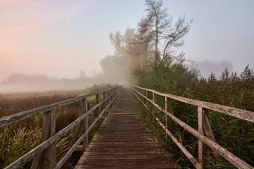 Federseesteg bei Sonnenaufgang