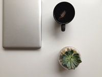 Office  Life