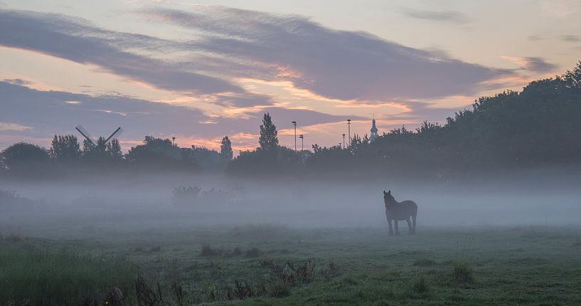 Paard in de ochtendmist von Marcel Klootwijk