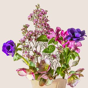 Christrose und Clematis