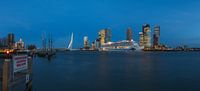 Het cruiseschip AIDA Prima in Rotterdam van MS Fotografie | Marc van der Stelt thumbnail