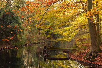 Een houten dok met Herfstkleuren van Dennis  Georgiev