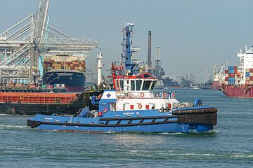 Havensleepboot Fairplay 29. van Jaap van den Berg