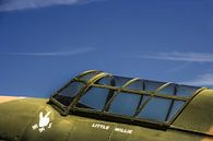 Spitfire  van Leo Hoogendijk thumbnail