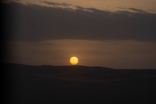 Zonsopgang in de duinen