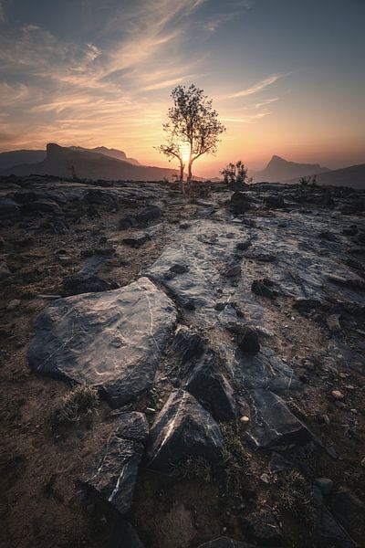 Jebel Shams gebergte in Oman bij zonsondergang van Jean Claude Castor