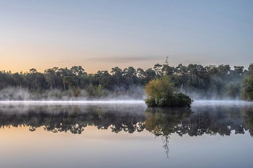 Oisterwijkse vennen part 5