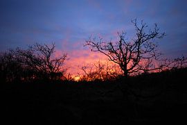 Zonsondergang in het Zwanenwater