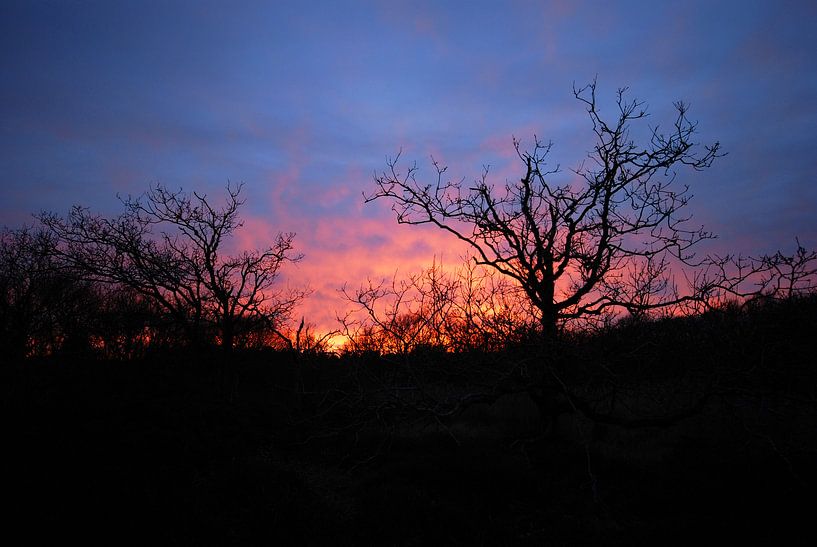 Zonsondergang in het Zwanenwater van Margreet Frowijn