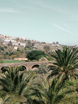 Palmbomen Gran Canaria | Fotoprint Canarische Eilanden | Kleurrijke reisfotografie Spanje van HelloHappylife