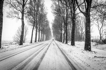 Coupure longue Baambrugge