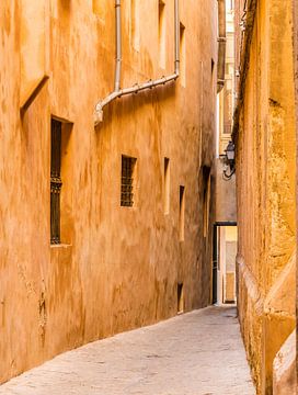 Palma de Mallorca, uitzicht op een smal steegje en oude gebouwen van Alex Winter