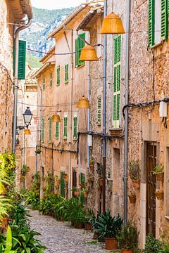 Beautiful street at the mediterranean village of Valldemossa by Alex Winter