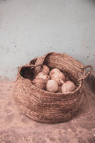 Weidenkorb mit Kokosnüssen