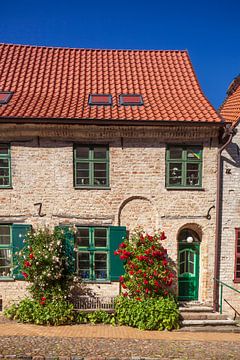 Historische huisgevel bij de Nikolaikerk, Rostock, Mecklenburg-Voor-Pommeren, Duitsland, Europa