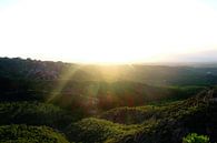 Sonnenuntergang auf dem Berg von mandy vd Weerd Miniaturansicht
