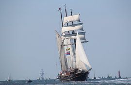 Gulden Leeuw by Rodney Pauwels