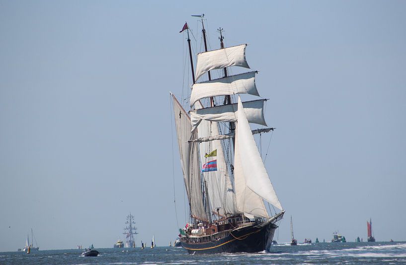 Gulden Leeuw par Rodney Pauwels