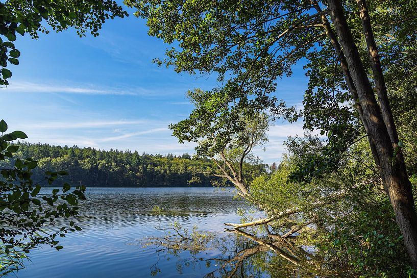 Lake view with trees at Pipersee near Salem by Rico Ködder
