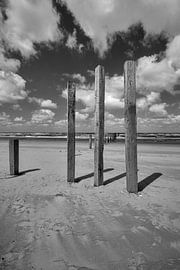 Beach poles at nude beach by Peter Bartelings