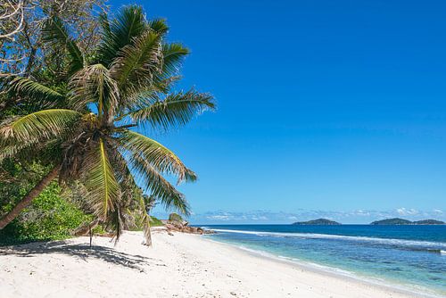 A dreamlike tropical landscape