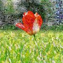 Tulpe auf dem Feld von Carla van Zomeren Miniaturansicht