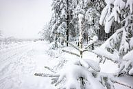Sneeuwlandschap in de Hoge Venen van Easycopters thumbnail