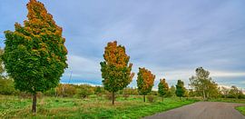 Der Herbst beginnt, seine Farben aufzutragen