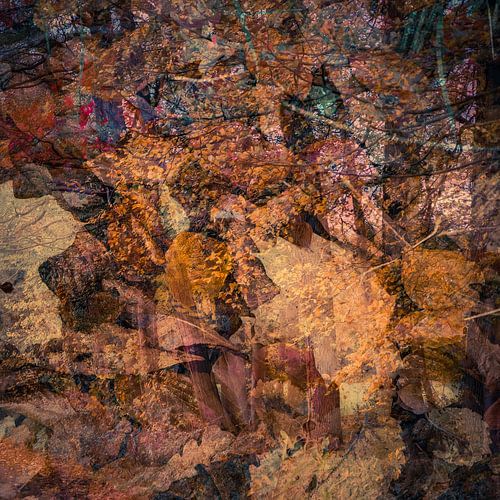 Leaves and trees in autumn colours