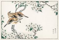 Japanse weidegors en perenbloesem illustratie door Numata Kashu van Studio POPPY thumbnail
