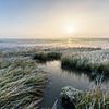 The frozen mudflats, Paesens-Moddergat. by Ton Drijfhamer