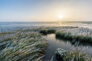 Het bevroren Wad, Paesens-Moddergat. van Ton Drijfhamer