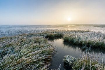 The frozen mudflats, Paesens-Moddergat. by Ton Drijfhamer