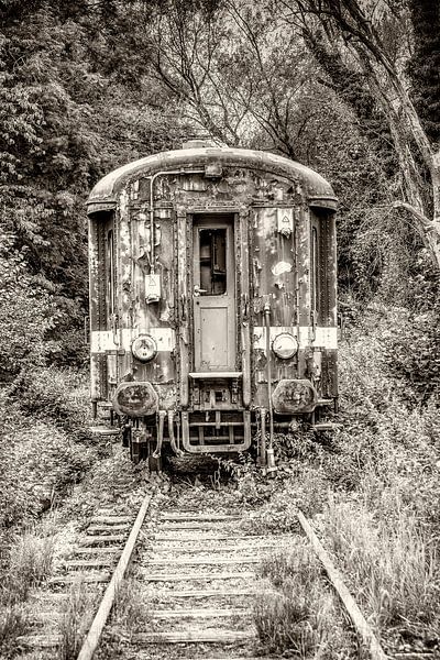 Altes Eisenbahnwaggon von Fotografie Arthur van Leeuwen