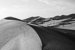 Desert by Herwin Wielink