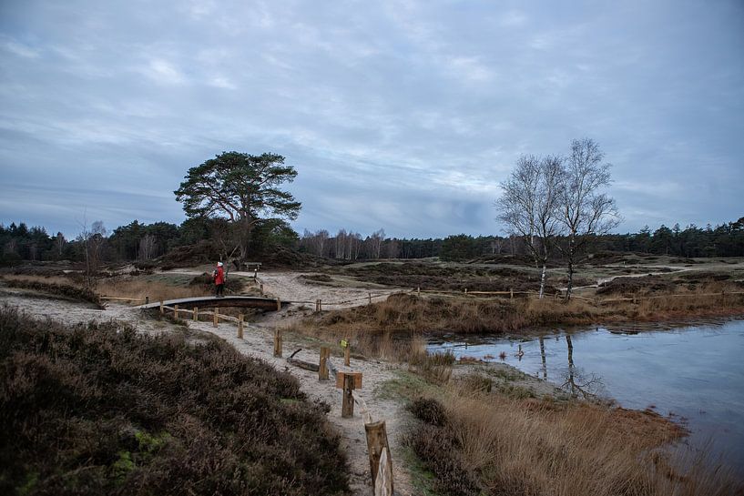 Forest lake Heidestein Bornia estate! by Peter Haastrecht, van
