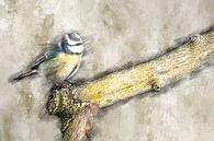 Pimpelmeesje op een boomtak (tekening) van Art by Jeronimo thumbnail