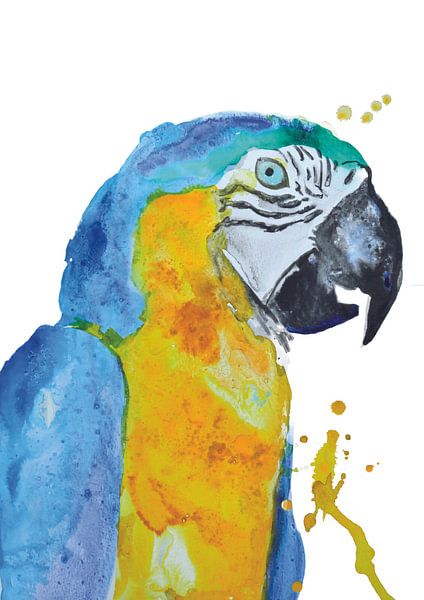 Blue macaw - Art Print of a special tropical bird illustration by Angela Peters