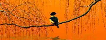 Orange evening stillness with a bird | a single note on a branch