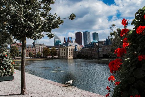 Binnenhof en hofvijver Den Haag