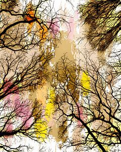 Sonniger Wald