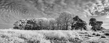 Winterlandshaft Panorama Holland von Peter Bolman