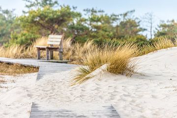 Chemin couvert de sable à la mer Baltique sur Christian Müringer