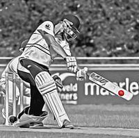 Cricket Sport Art Quick, The Hague