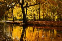 Goldenes Wasser | Gouden water