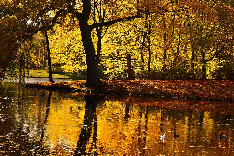 Golden water by Dieter Ludorf