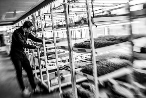 Phood Farm, Eindhoven In Focus