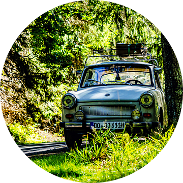Trabant 601 in het bos van Johnny Flash