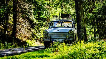 Trabant 601 in het bos van Johnny Flash